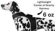 Inexpensive Dog Locator Device Waterproof + Perimeter Fencing Settings Size:XXL