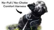 Get Realtime SMS/Live Tracking Data w/ Pet Tracker GPS Dog Collar Tracker Size:L